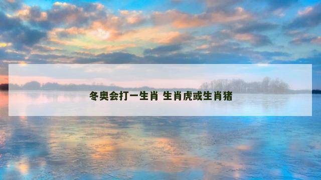 冬奥会打一生肖 生肖虎或生肖猪