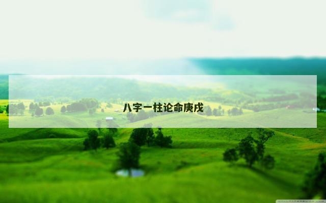 八字一柱论命庚戌
