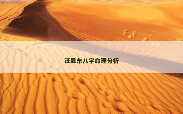 汪显东八字命理分析