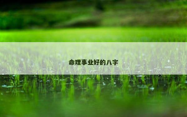 命理事业好的八字