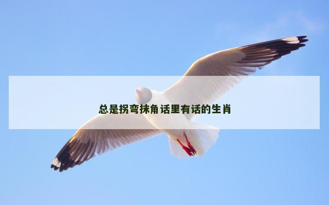 总是拐弯抹角话里有话的生肖