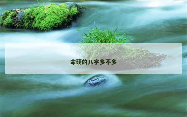 命硬的八字多不多
