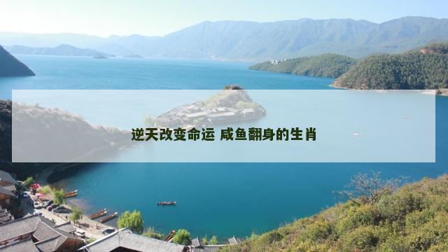 逆天改变命运 咸鱼翻身的生肖