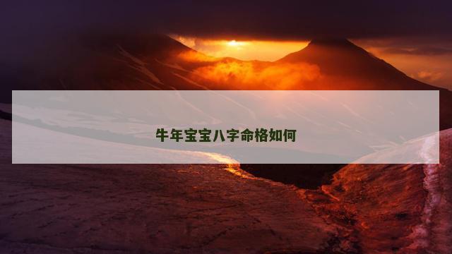 牛年宝宝八字命格如何