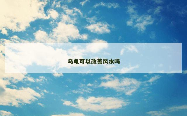 乌龟可以改善风水吗