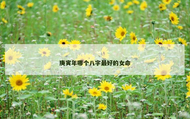 庚寅年哪个八字最好的女命