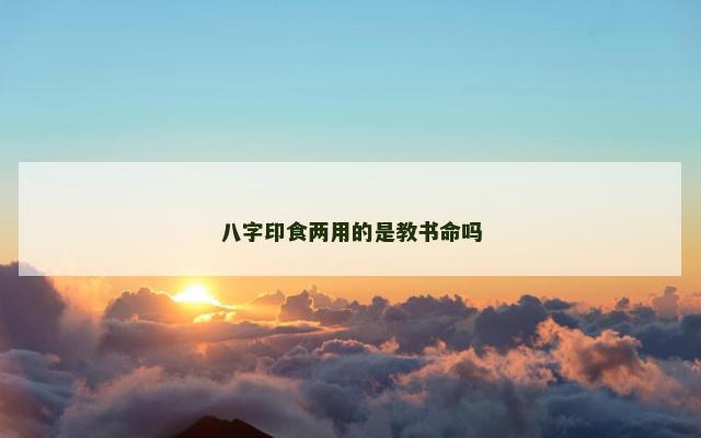 八字印食两用的是教书命吗