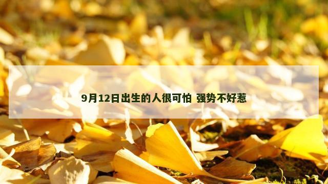 9月12日出生的人很可怕 强势不好惹