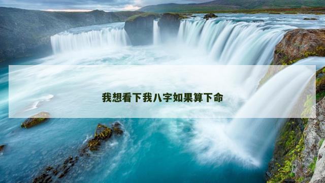 我想看下我八字如果算下命