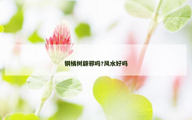 钢橘树辟邪吗?风水好吗