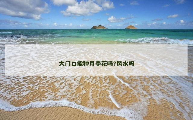大门口能种月季花吗?风水吗