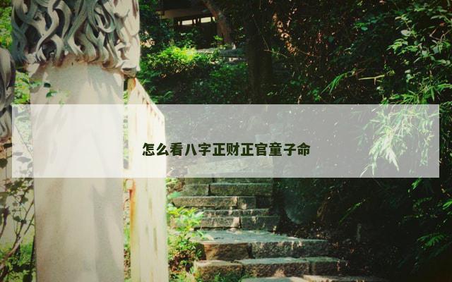 怎么看八字正财正官童子命