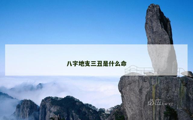八字地支三丑是什么命