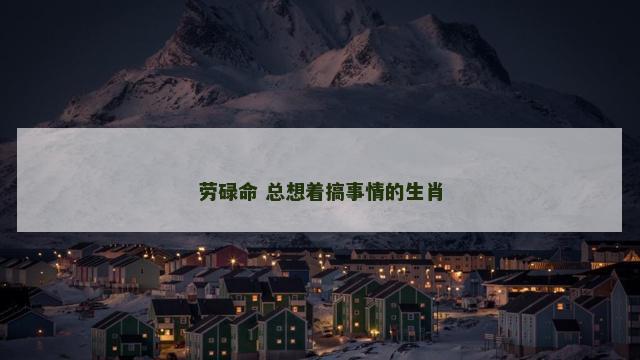 劳碌命 总想着搞事情的生肖