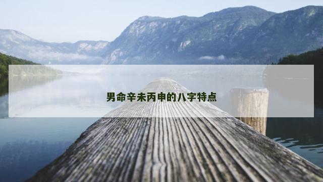 男命辛未丙申的八字特点
