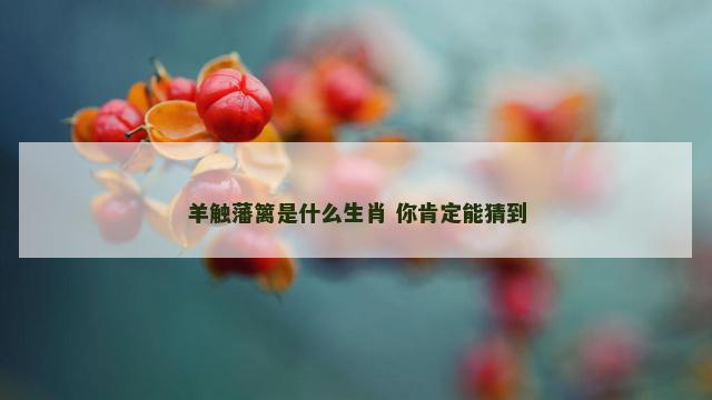 羊触藩篱是什么生肖 你肯定能猜到