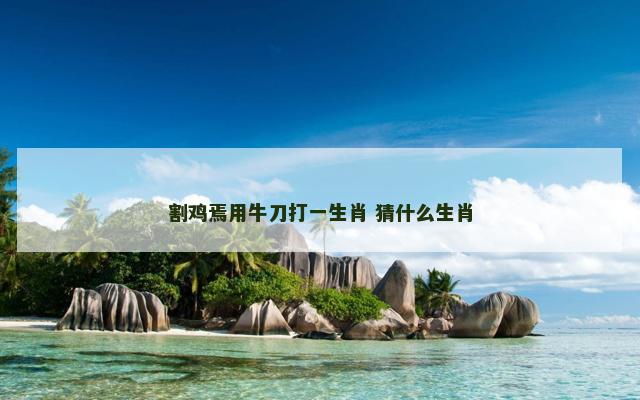 割鸡焉用牛刀打一生肖 猜什么生肖