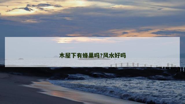 木屋下有蜂巢吗?风水好吗