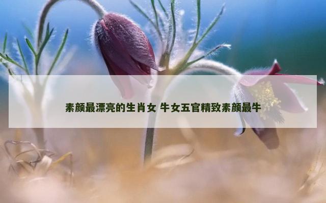 素颜最漂亮的生肖女 牛女五官精致素颜最牛