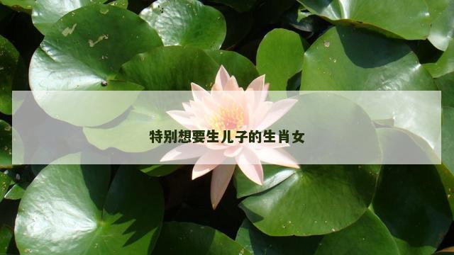 特别想要生儿子的生肖女