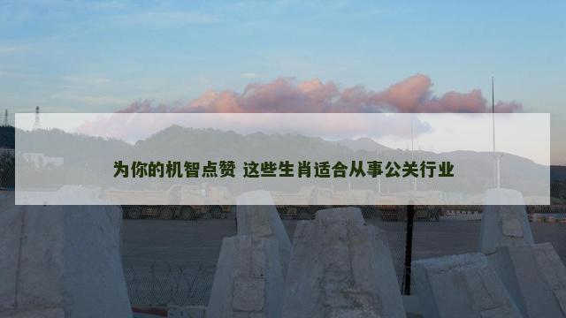 为你的机智点赞 这些生肖适合从事公关行业