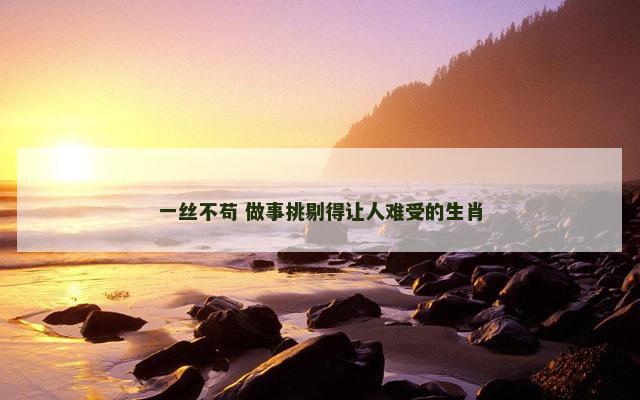 一丝不苟 做事挑剔得让人难受的生肖