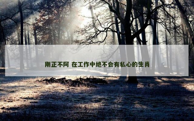 刚正不阿 在工作中绝不会有私心的生肖 刚正不阿 在工作中绝不会有私心的生肖