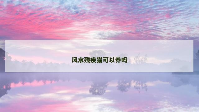 风水残疾猫可以养吗 风水残疾猫可以养吗