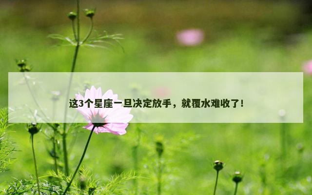 这3个星座一旦决定放手,就覆水难收了! 这3个星座一旦决定放手,就覆水难收了!