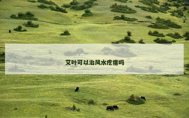 艾叶可以治风水疙瘩吗 艾叶可以治风水疙瘩吗