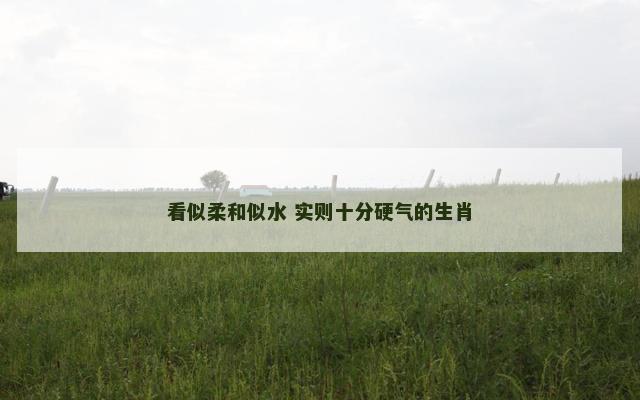 看似柔和似水 实则十分硬气的生肖 看似柔和似水 实则十分硬气的生肖