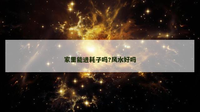 家里能进耗子吗?风水好吗 家里能进耗子吗?风水好吗
