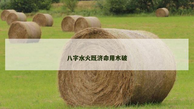 八字水火既济命用木破 八字水火既济命用木破