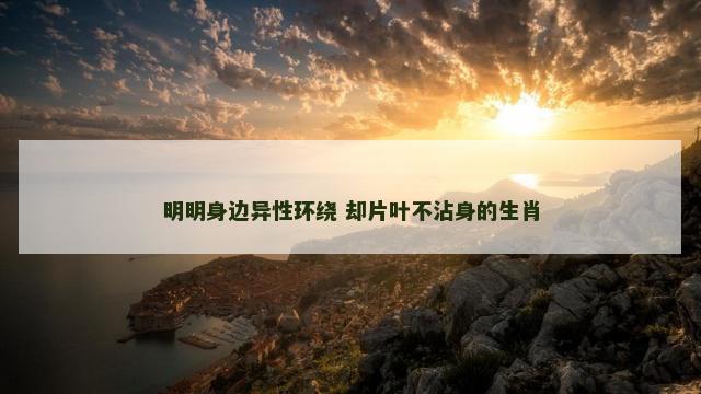 明明身边异性环绕 却片叶不沾身的生肖