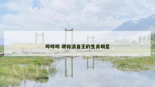 哔哔哔 堪称消音王的生肖明星