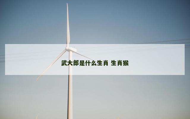 武大郎是什么生肖 生肖猴