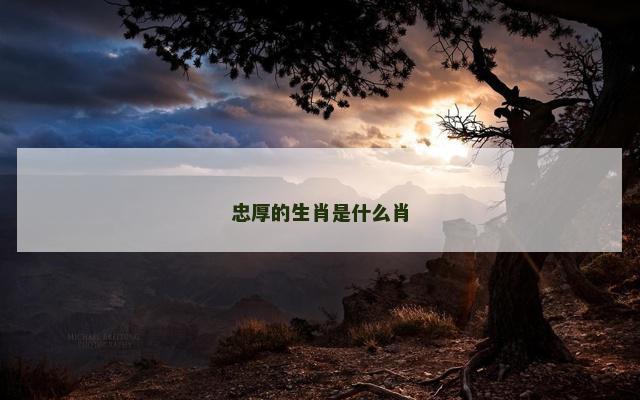 忠厚的生肖是什么肖