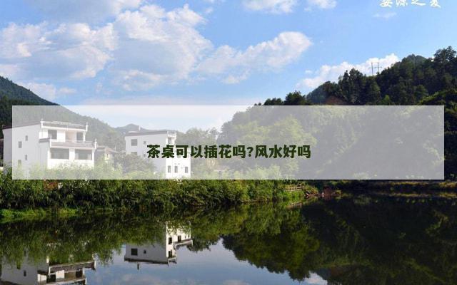 茶桌可以插花吗?风水好吗