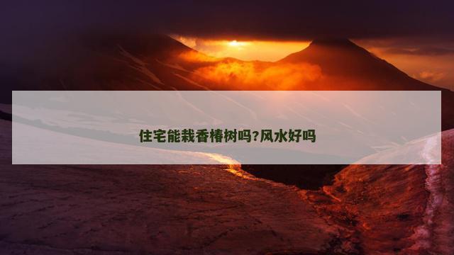 住宅能栽香椿树吗?风水好吗