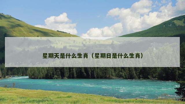 星期天是什么生肖（星期日是什么生肖）