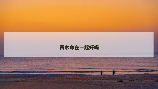 两木命在一起好吗