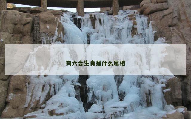 狗六合生肖是什么属相