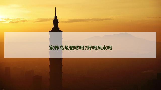 家养乌龟聚财吗?好吗风水吗