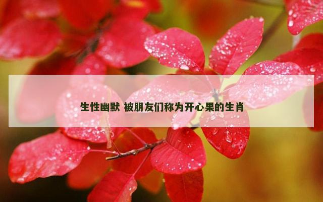 生性幽默 被朋友们称为开心果的生肖