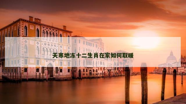 天寒地冻十二生肖在家如何取暖