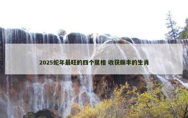 2025蛇年最旺的四个属相 收获颇丰的生肖
