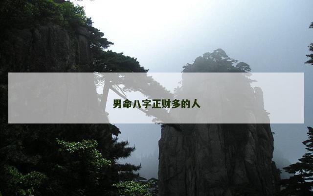 男命八字正财多的人