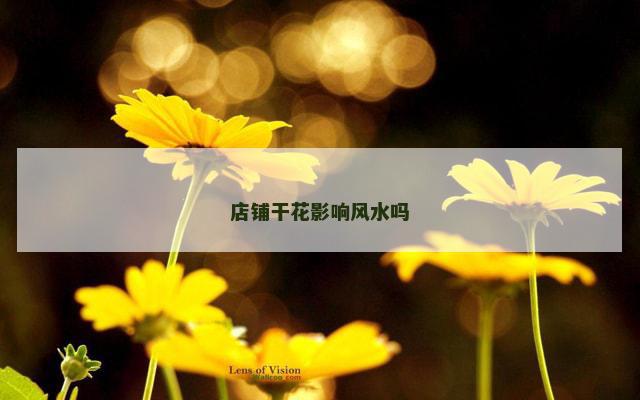 店铺干花影响风水吗