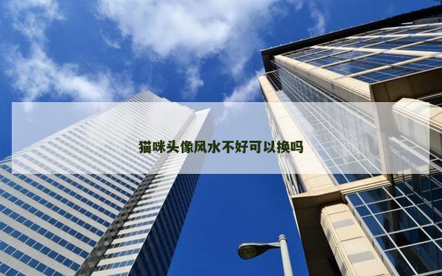 猫咪头像风水不好可以换吗