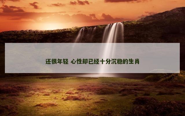 还很年轻 心性却已经十分沉稳的生肖